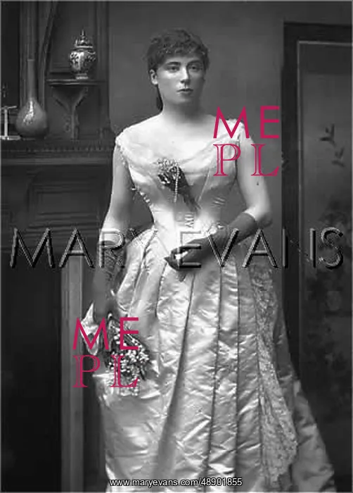 : EVENING DRESS 1888 : EVENING DRESS 1888