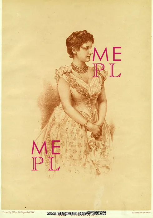 : Evening Dress 1889 : Evening Dress 1889