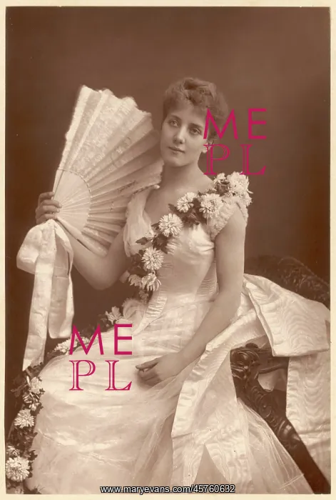 : Evening Dress 1890 : Evening Dress 1890