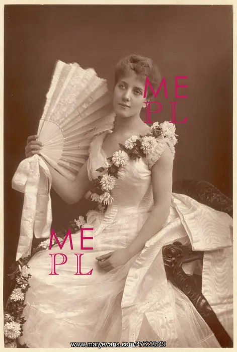 : Evening Dress 1890 : Evening Dress 1890
