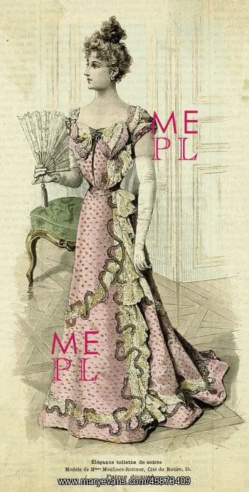 : Evening Dress 1899 : Evening Dress 1899