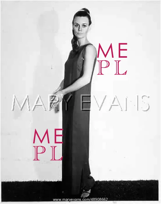 : EVENING DRESS 1960S BPL : EVENING DRESS 1960S BPL