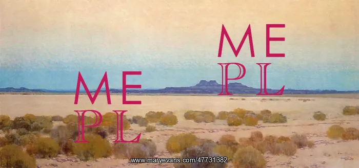 : Evening at Dry Lake, Mojave Desert