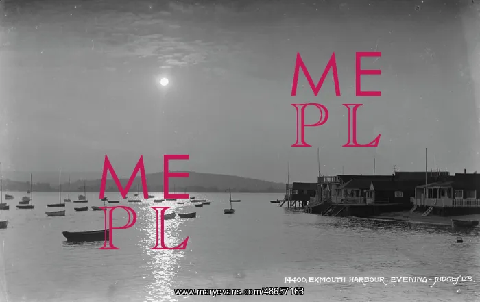 : Evening at Exmouth Harbour : Evening at Exmouth Harbour