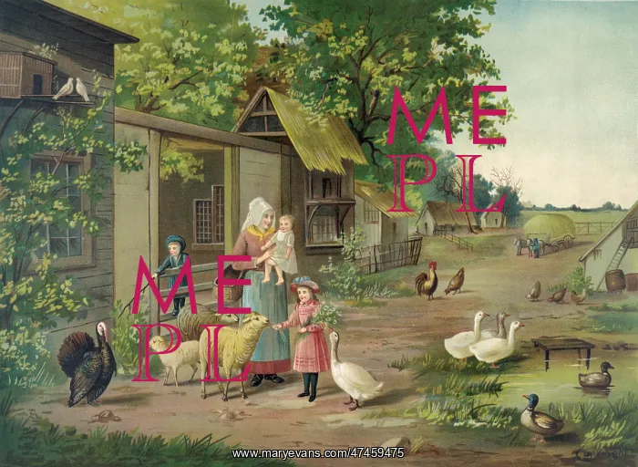  : Evening on the farm