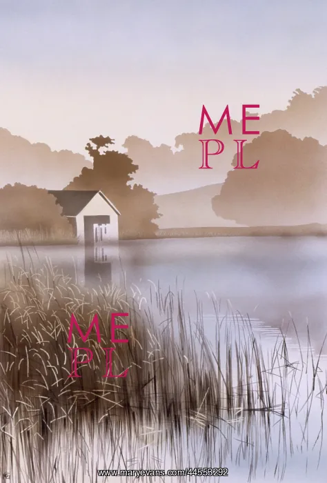 : Evening lakeside scene with reeds : Evening lakeside scene with reeds