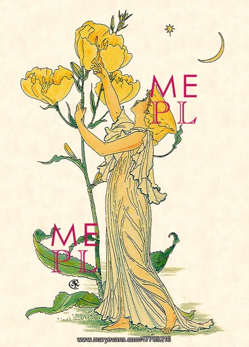  : Evening Primrose Nymph, by Walter Crane