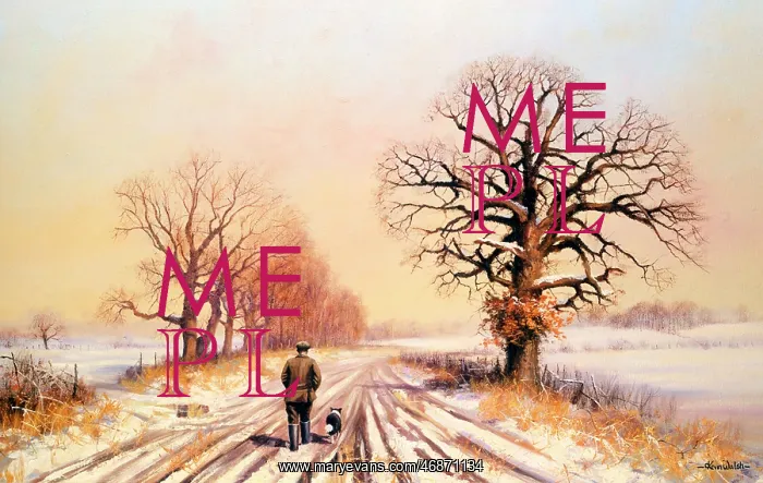 : Evening thaw : Evening thaw