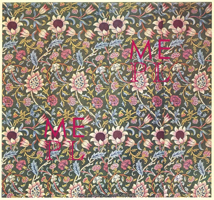 : The Evenlode Chintz : The Evenlode Chintz