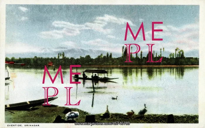 : Eventide, Srinagrar, Kashmir, India : Eventide, Srinagrar, Kashmir, India