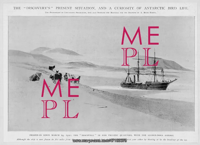 : EVENTS / EXPLORATION / POLAR : EVENTS / EXPLORATION / POLAR