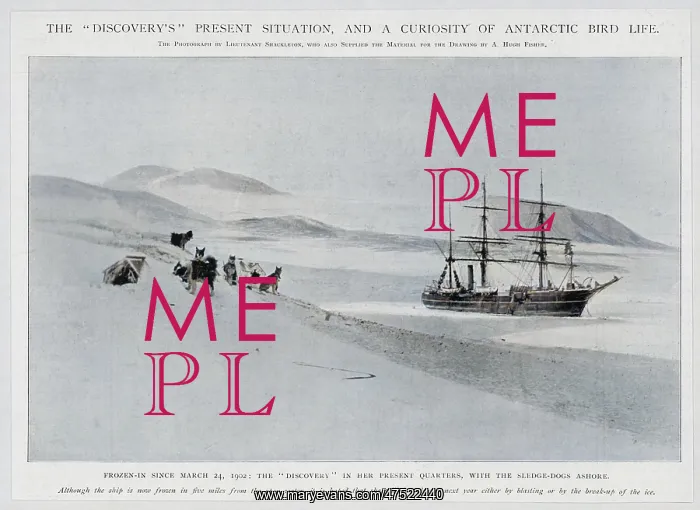 : EVENTS / EXPLORATION / POLAR : EVENTS / EXPLORATION / POLAR