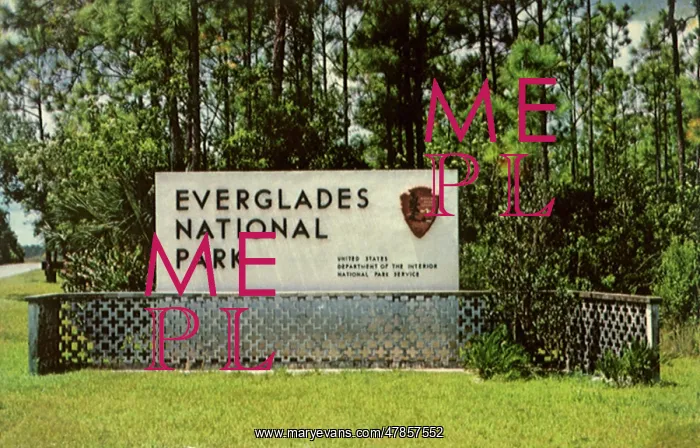 : Everglades Natl. Park : Everglades Natl. Park
