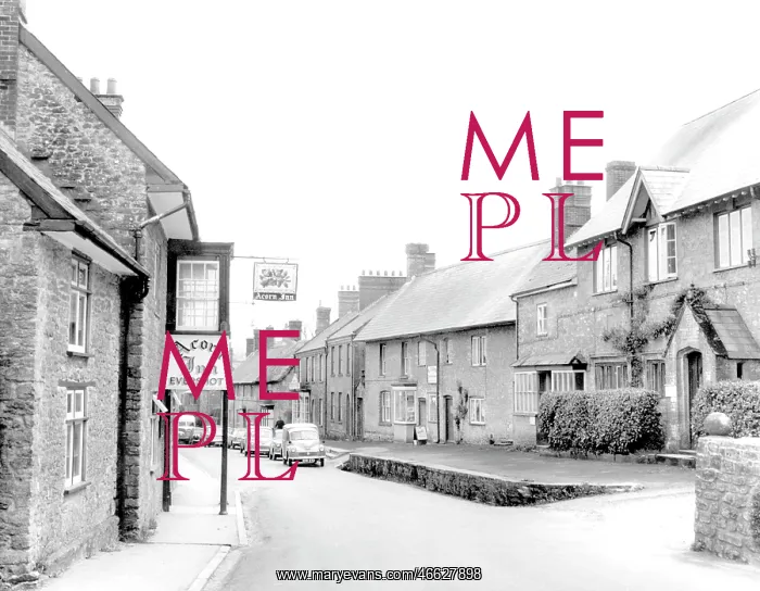  : Evershot, Fore Street c1965