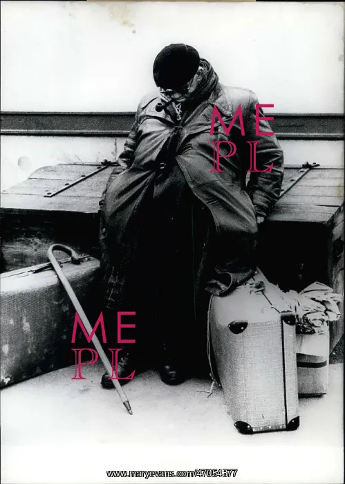 : Everybody likes to travel but this Tramp seems : Everybody likes to travel but this Tramp seems