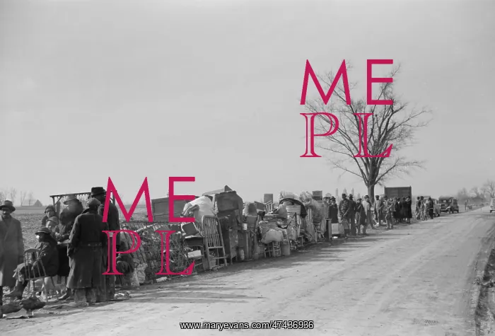 : Evicted sharecroppers along Highway 60, New Madrid County, M : Evicted sharecroppers along Highway 60, New Madrid County, M