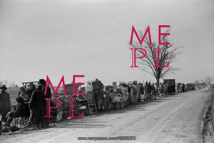 : Evicted sharecroppers protest along Highway 60 : Evicted sharecroppers protest along Highway 60