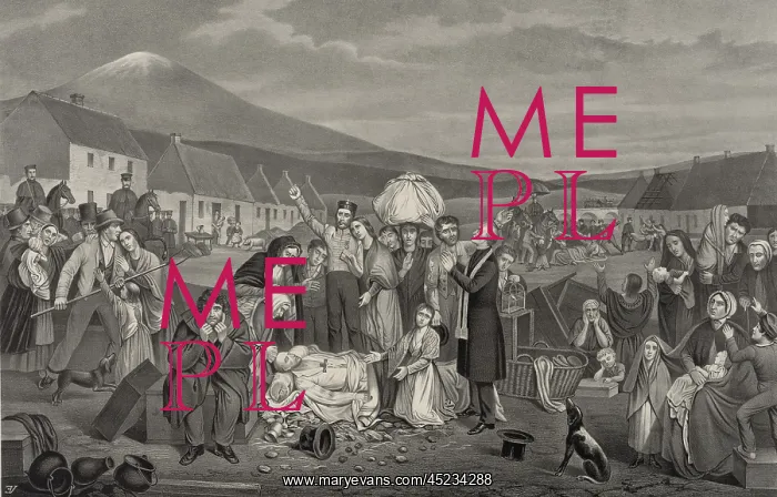  : THE EVICTION: A SCENE FROM LIFE IN IRELAND. ?