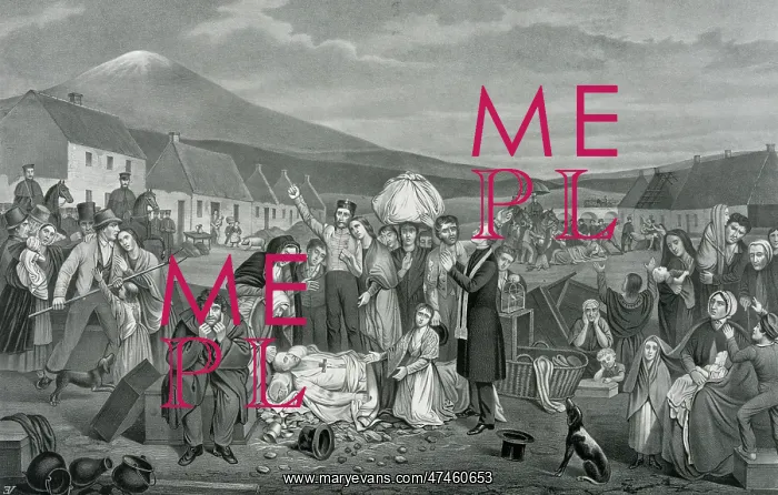 : The eviction: a scene from life in Ireland : The eviction: a scene from life in Ireland