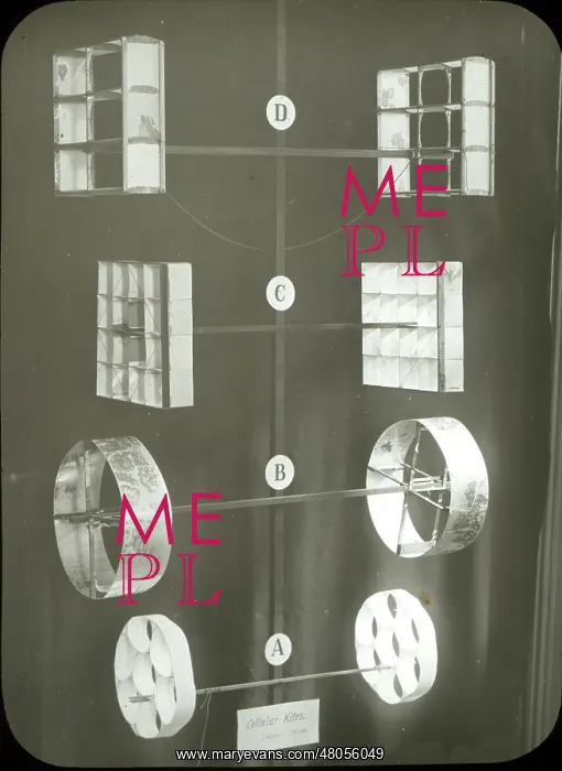 : Evolution of the cellular kite : Evolution of the cellular kite