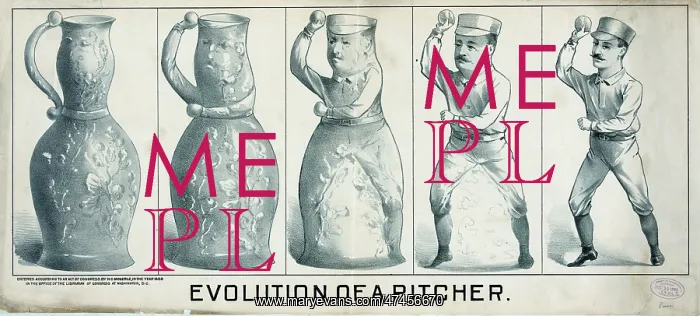 : Evolution of a pitcher : Evolution of a pitcher