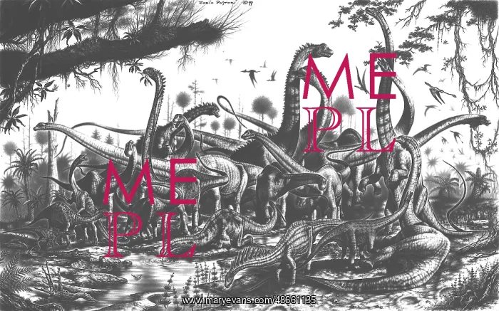 : Evolution of sauropods, graphite sketch : Evolution of sauropods, graphite sketch