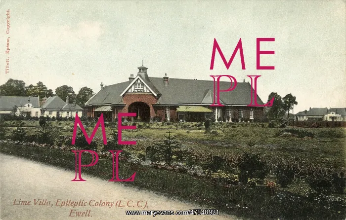 : Ewell Epileptic Colony, Epsom, Surrey : Ewell Epileptic Colony, Epsom, Surrey