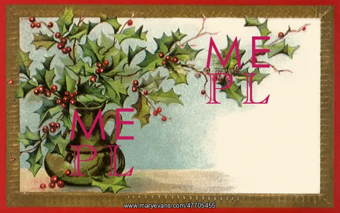  : Ewer Of Holly