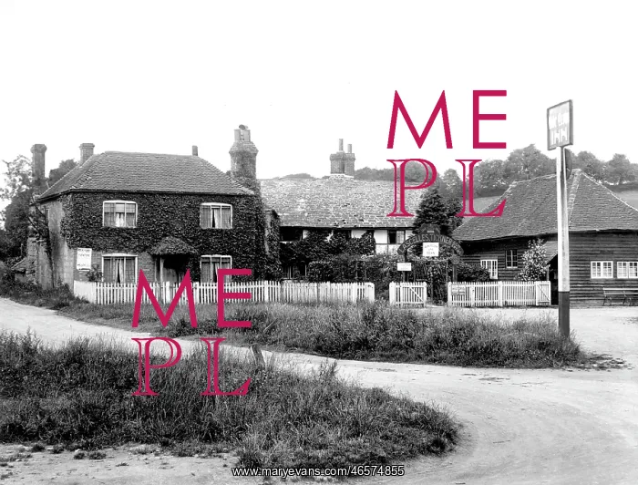  : Ewhurst, Village 1925