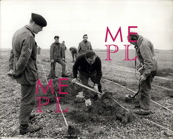 : Ex-POWs help clear beach for bird sanctuary, Kent : Ex-POWs help clear beach for bird sanctuary, Kent