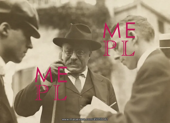 : Ex-President Roosevelt speaking from his private : Ex-President Roosevelt speaking from his private