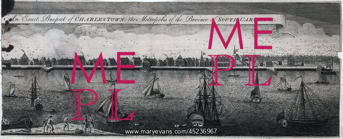 : An exact prospect of Charlestown : the metropolis ? : An exact prospect of Charlestown : the metropolis ?