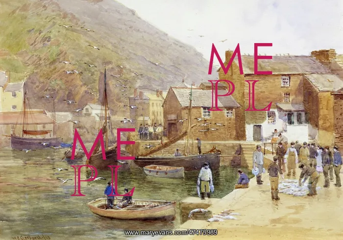 : Examining the Catch, Polperro - harbour : Examining the Catch, Polperro - harbour