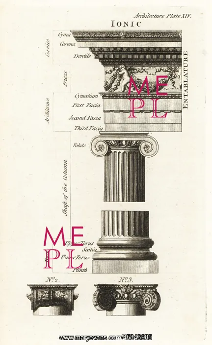 : Example of the Ionic order, Temple of Fortuna Virilis, Rome : Example of the Ionic order, Temple of Fortuna Virilis, Rome