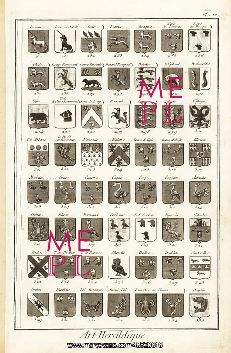 : Examples of heraldic terms describing a coat of arms : Examples of heraldic terms describing a coat of arms