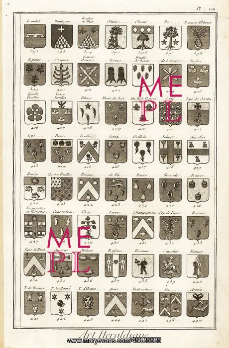 : Examples of heraldic terms describing a coat of arms : Examples of heraldic terms describing a coat of arms