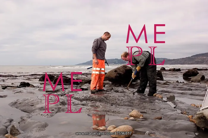 : Excavating at Charmouth : Excavating at Charmouth