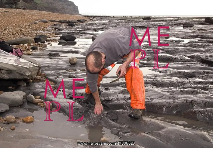  : Excavating at Charmouth