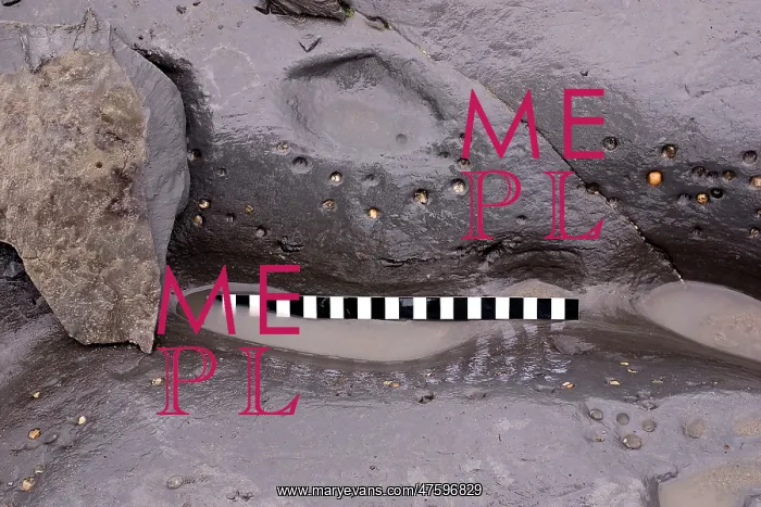 : Excavating at Charmouth : Excavating at Charmouth