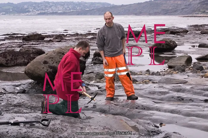 : Excavating at Charmouth : Excavating at Charmouth