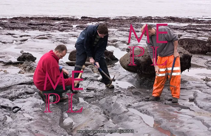 : Excavating at Charmouth : Excavating at Charmouth