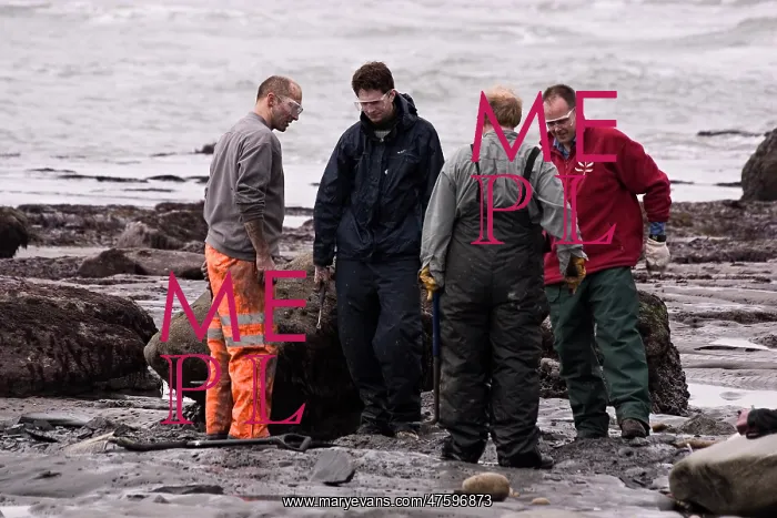 : Excavating at Charmouth : Excavating at Charmouth