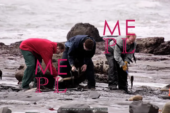 : Excavating at Charmouth : Excavating at Charmouth