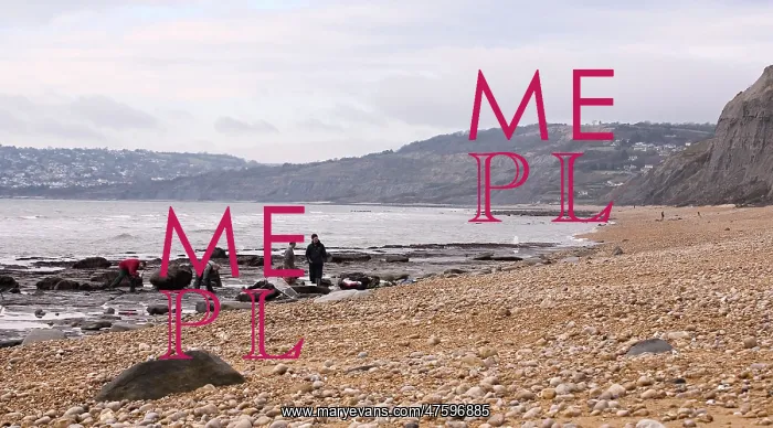 : Excavating at Charmouth : Excavating at Charmouth