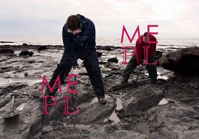 : Excavating at Charmouth : Excavating at Charmouth