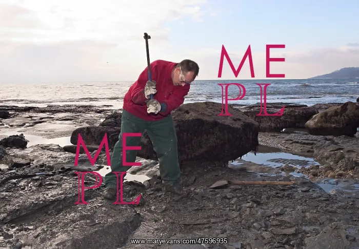 : Excavating at Charmouth : Excavating at Charmouth