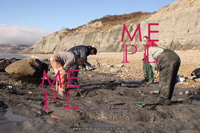 : Excavating at Charmouth : Excavating at Charmouth