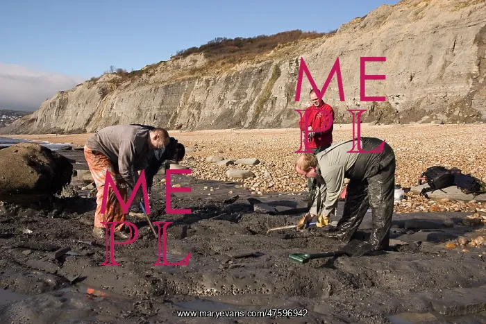 : Excavating at Charmouth : Excavating at Charmouth