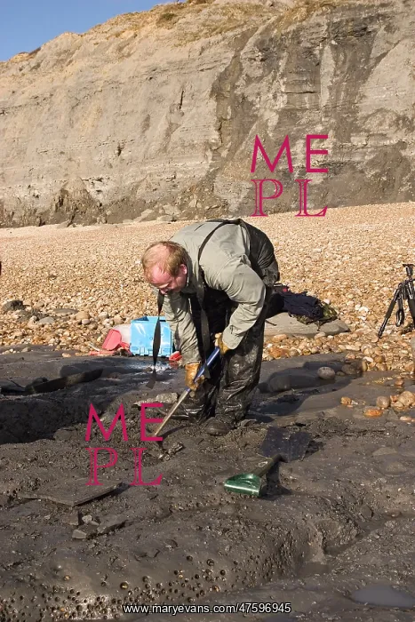 : Excavating at Charmouth : Excavating at Charmouth