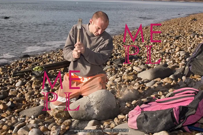 : Excavating at Charmouth : Excavating at Charmouth